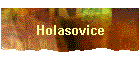 Holasovice